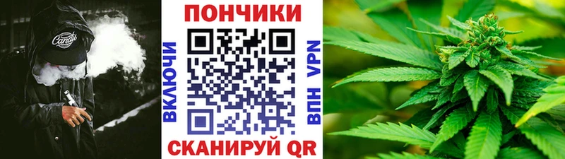 Что такое Шенкурск А ПВП  Cocaine  ГАШИШ  Метамфетамин  Канабис  Меф мяу мяу 