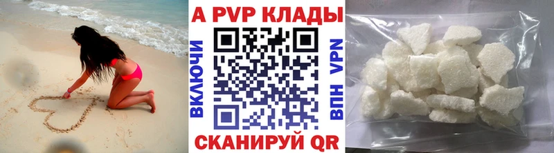 A PVP Шенкурск