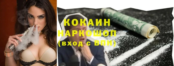 mix Богородицк