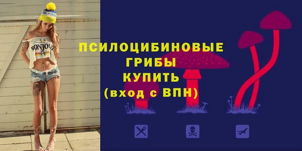 мдма Богданович