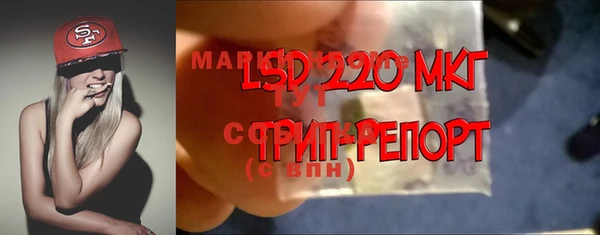 mix Богородицк