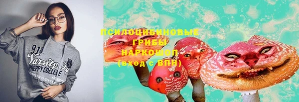 мдма Богданович